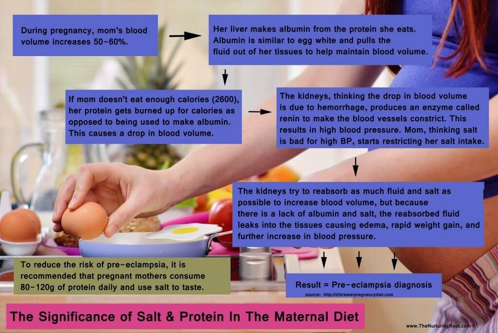 Importance of protein and salt in pregnancy diet.