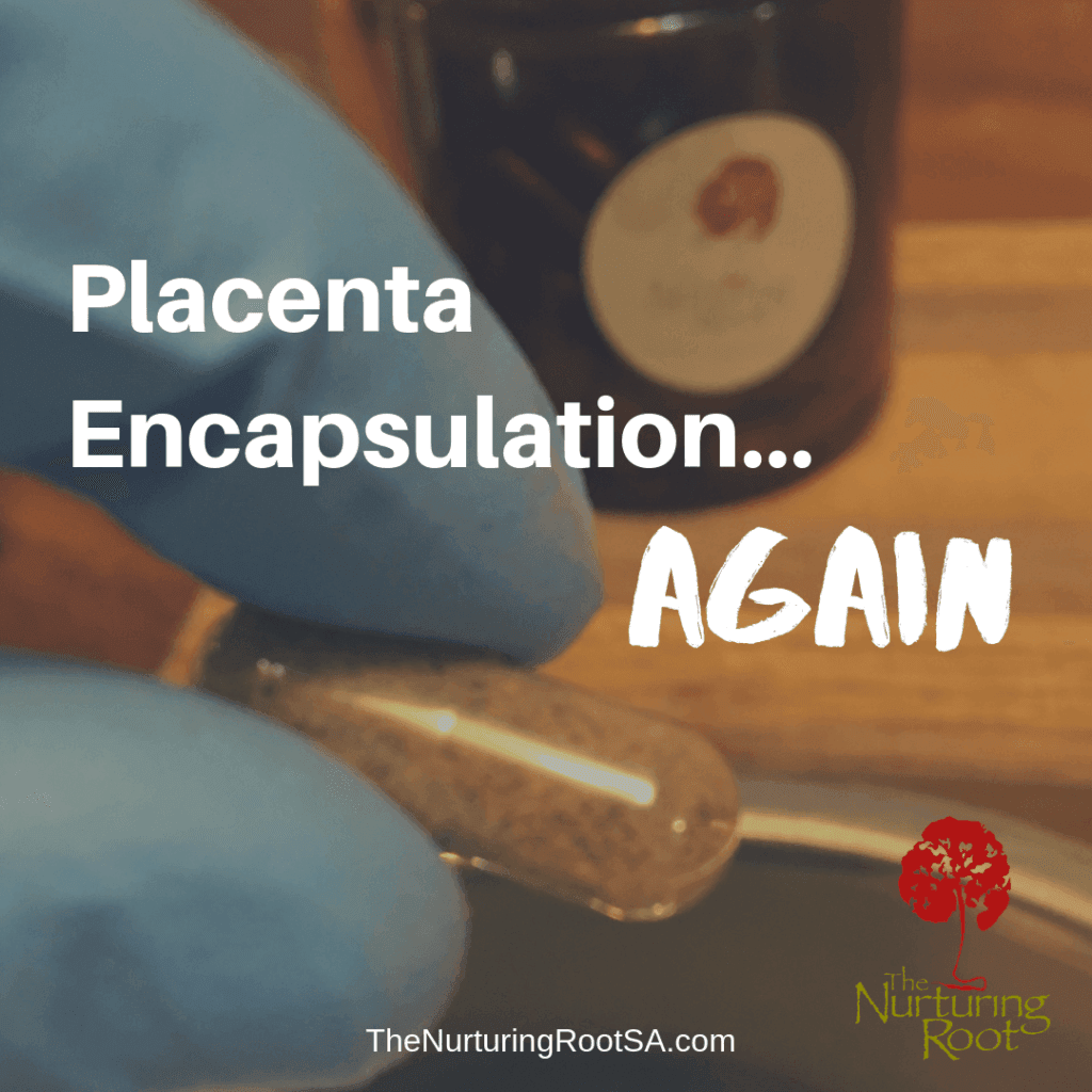 Gloved hand holding placenta encapsulation capsule.