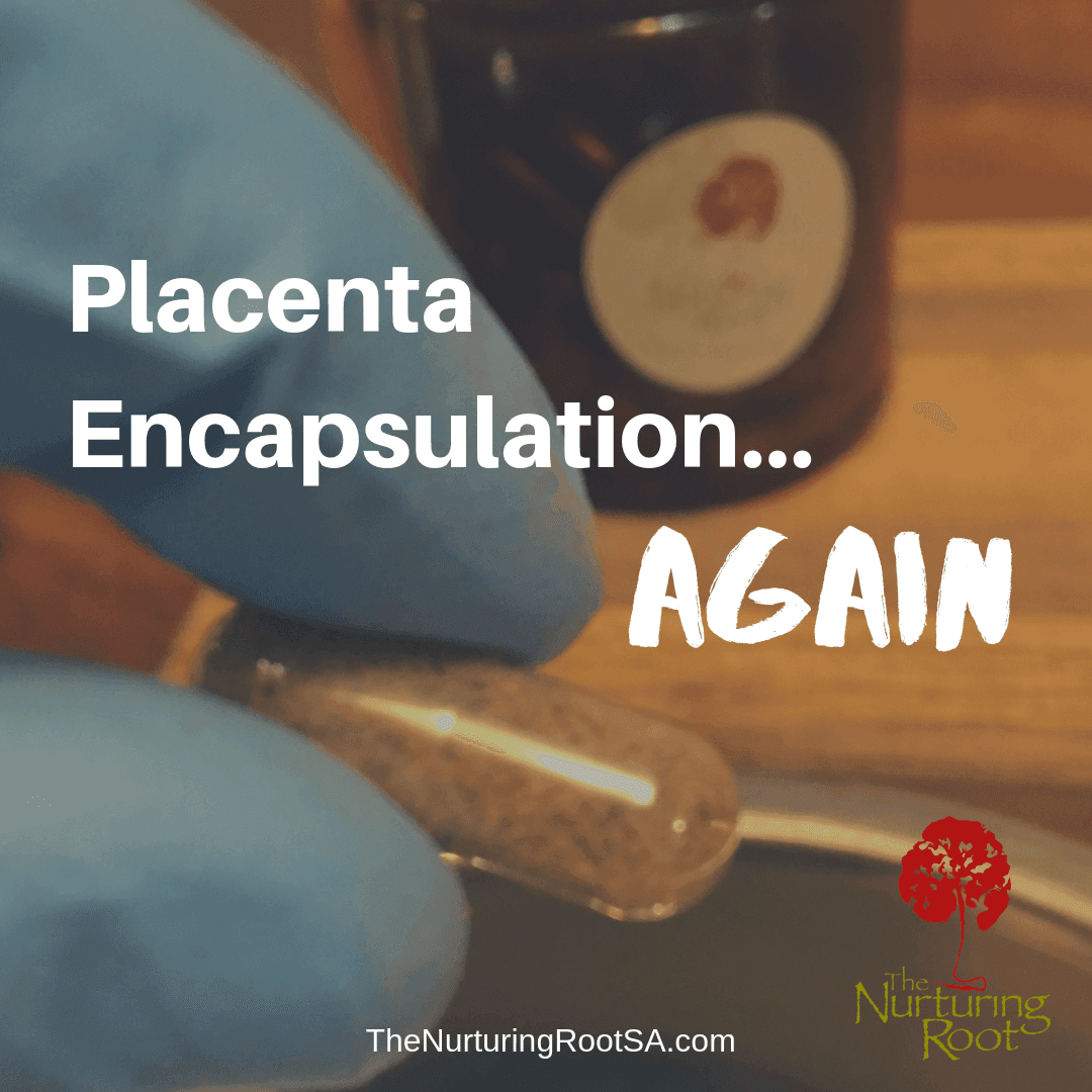 Gloved hand holding placenta encapsulation capsule.