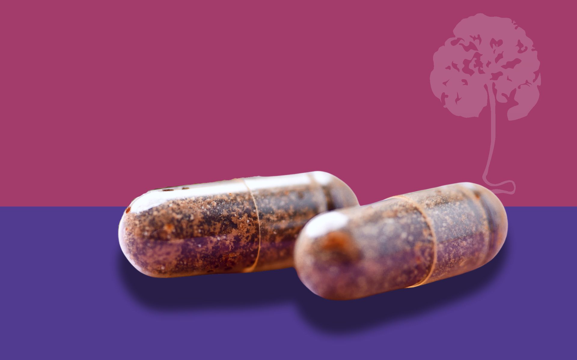 Placenta capsules on a pink and purple background from a placenta encapsulation service in San Antonio, TX