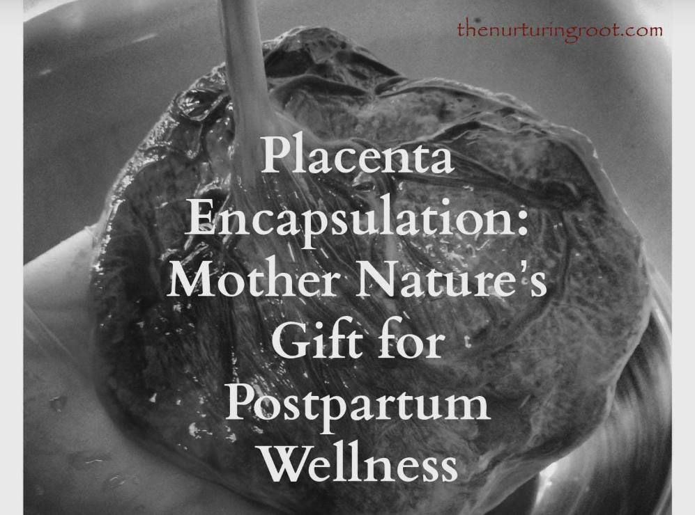 Preview of Birth Boot Camp article written by Carmen about placenta encapsulation benefits